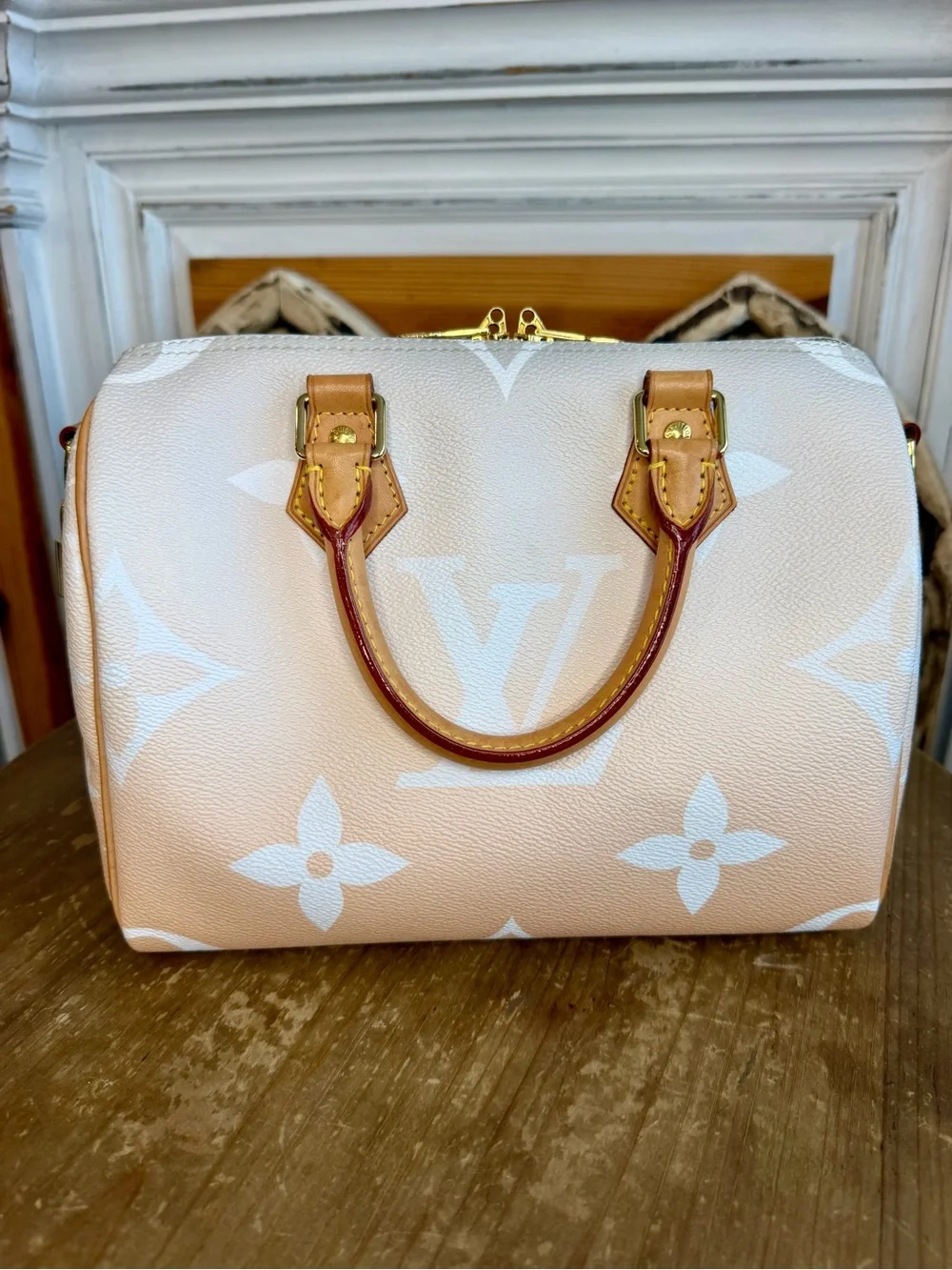 Louis Vuitton Speedy 25 By the Pool in Mist Speedy Bandoulière
